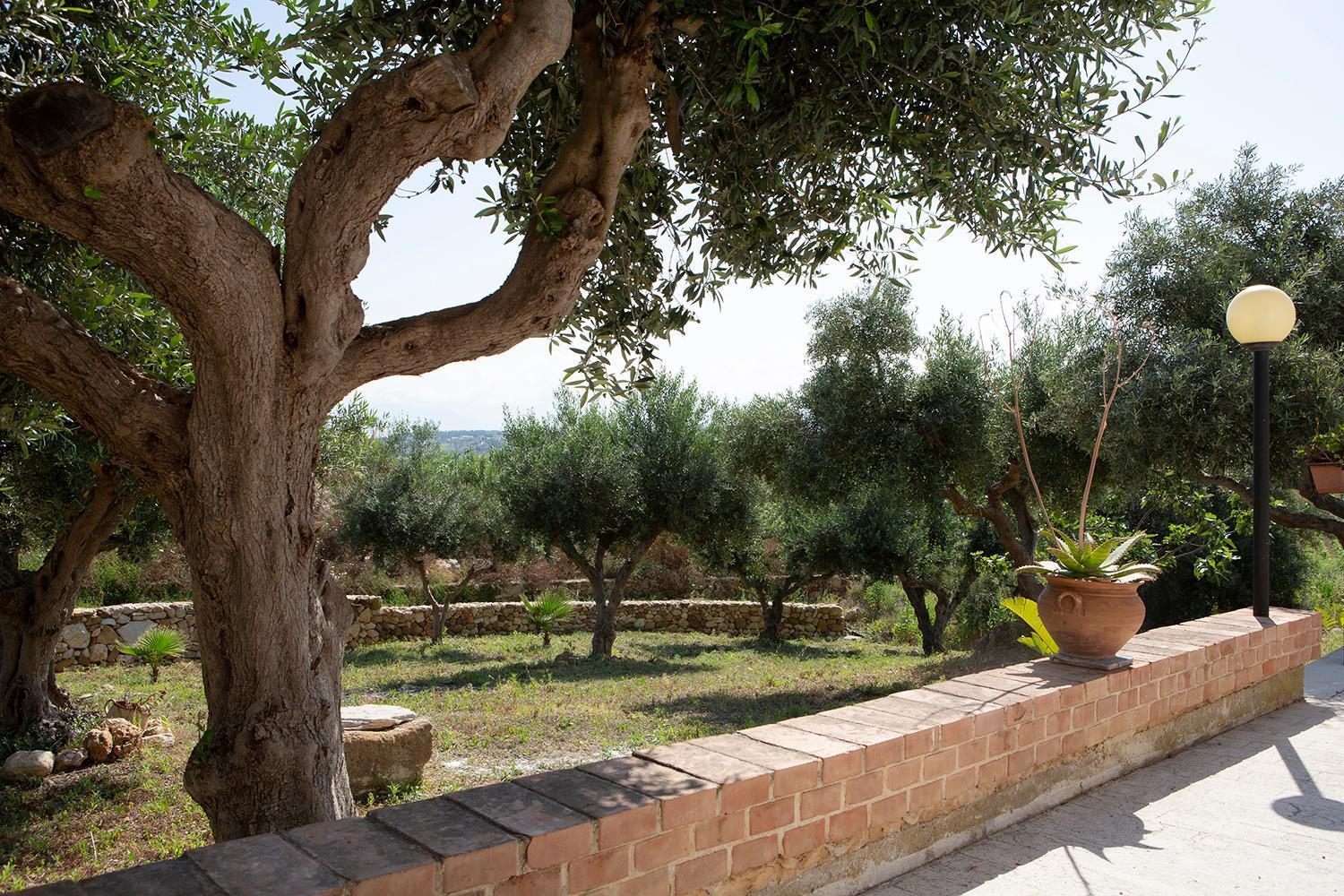 Villa Alessandro Castellammare del Golfo Extérieur photo