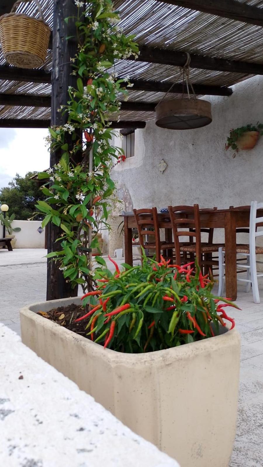 Villa Alessandro Castellammare del Golfo Extérieur photo